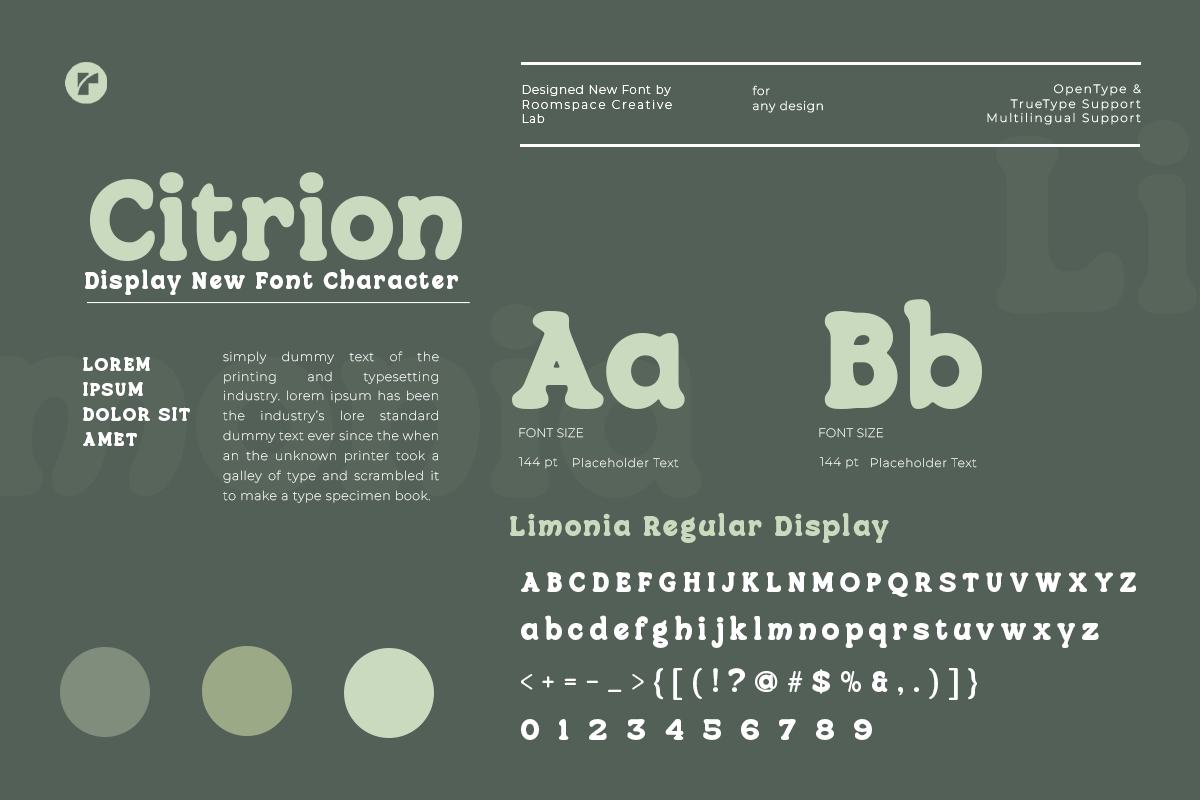 citrion-bold-groovy-display-typeface-roomspace-creative-lab-10.png