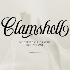 clamshell-modern-calligraphy-roomspace-creative-lab-1.png