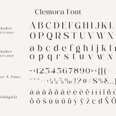 clemora-feminine-minimal-beauty-branding-serif-roomspace-creative-lab-2.png