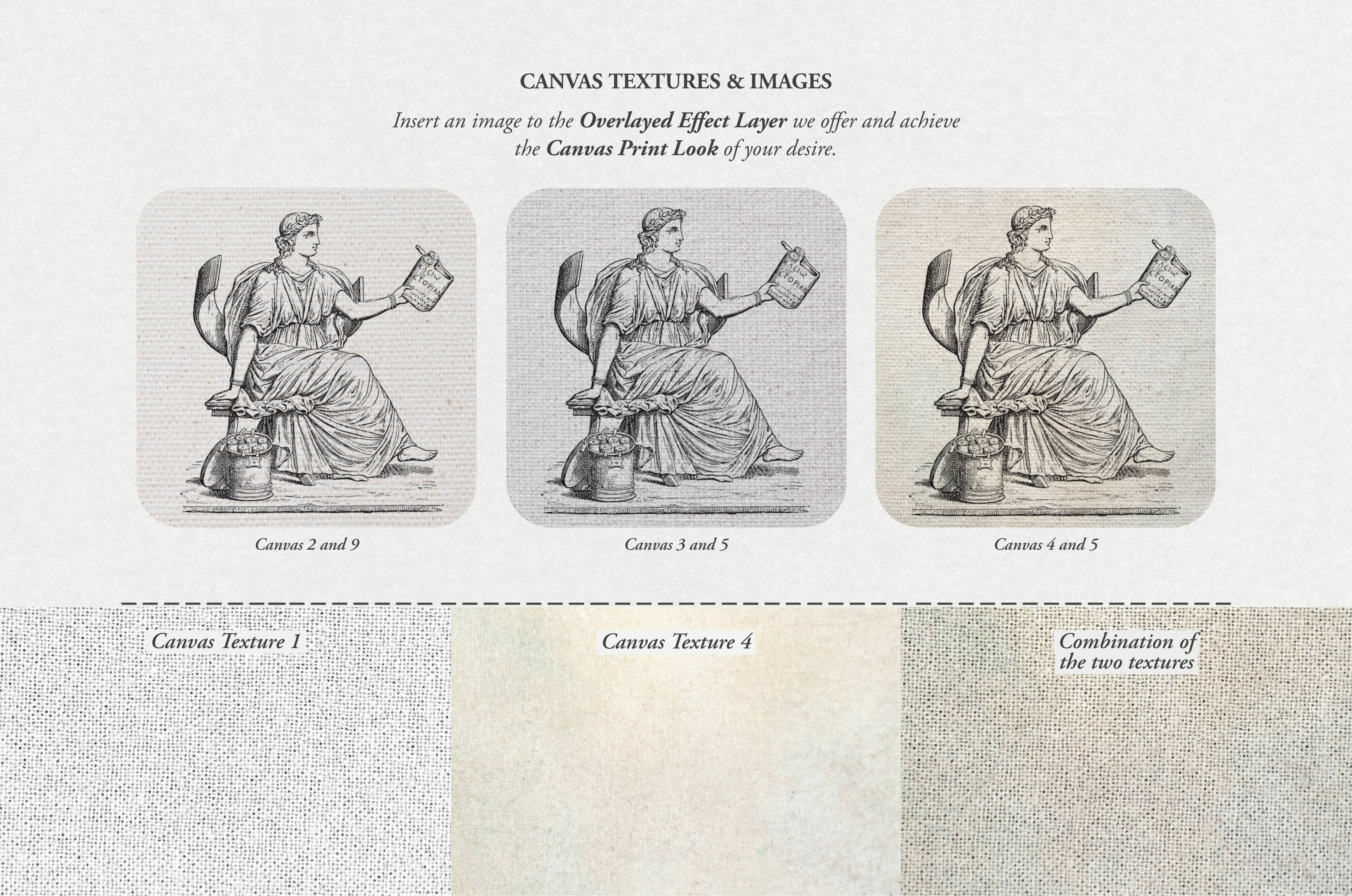 Clio's Procreate Kit