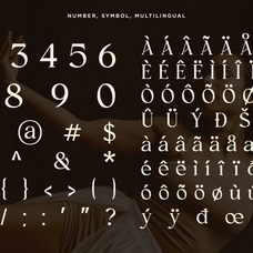 Clony - Luxury Ligature Serif Font by Ragamkata Studio, preview 10