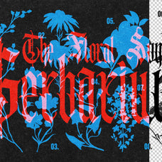 color-overprint-effect-pixelbuddha-3.jpg