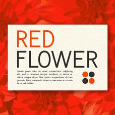 colossia-thin-sans-serif-font-vadova-studio-3.png