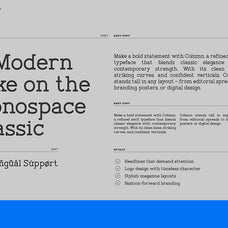 Column Monospace Display Font by Vadova Studio, preview 3
