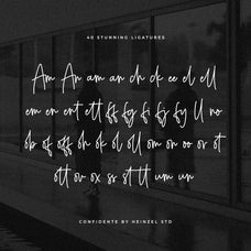 confidente-signature-font-heinzel-std-7.jpg