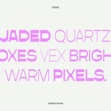 copo-copo-reversed-contrast-sans-serif-casloop-studio-6.jpg
