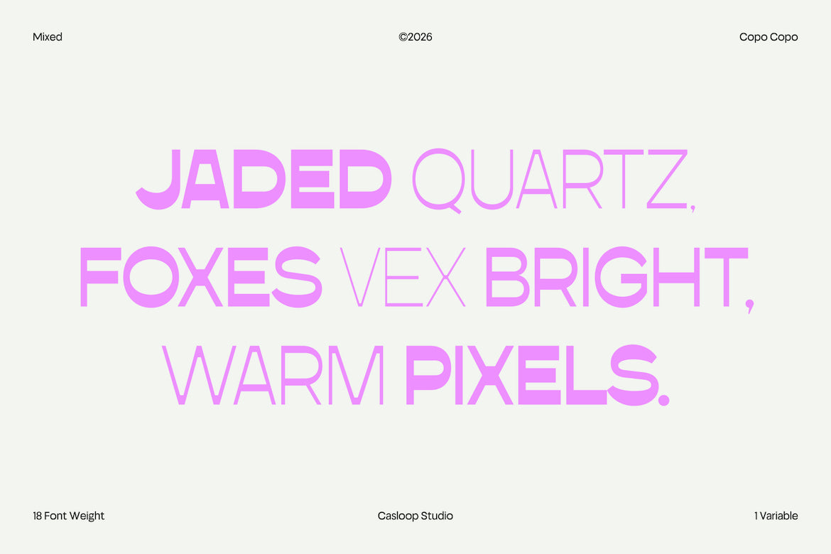 copo-copo-reversed-contrast-sans-serif-casloop-studio-6.jpg