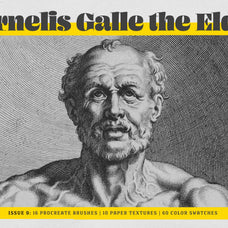 Cornelis Galle Procreate Kit