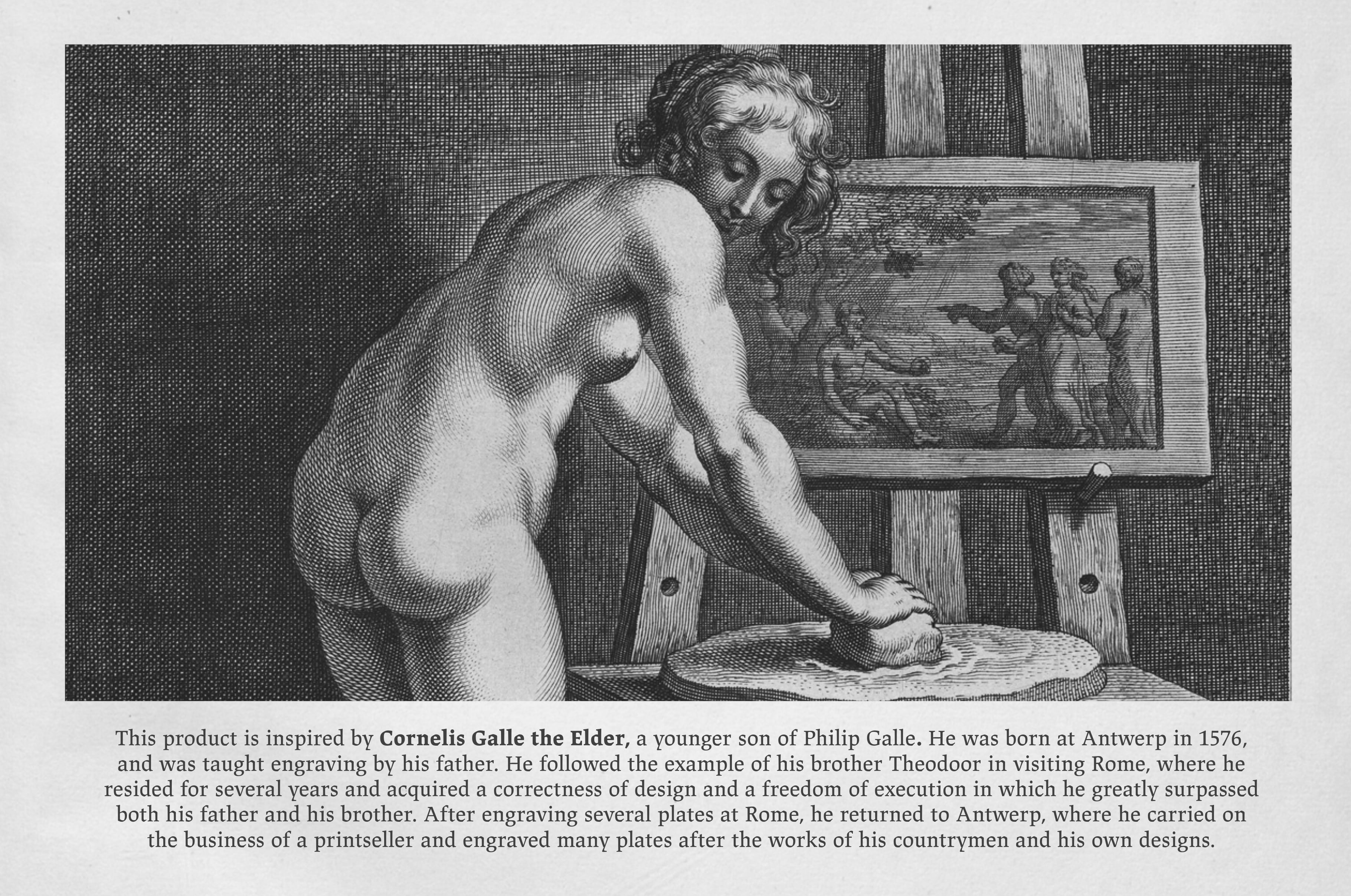 Cornelis Galle Procreate Kit