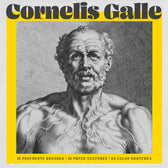 Cornelis Galle Procreate Kit