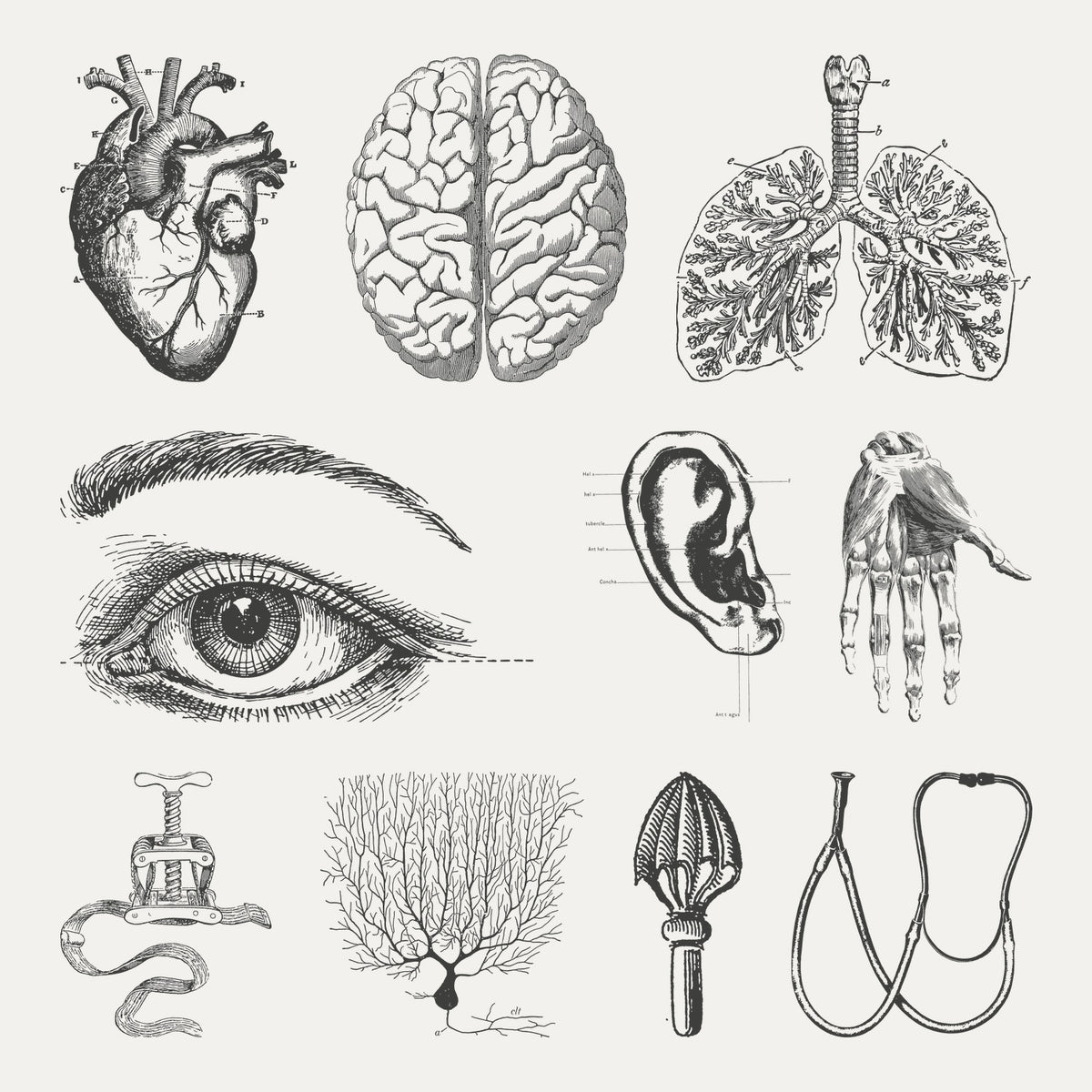 Coroner Graphic Pack by Disrupted Studio, preview 4
