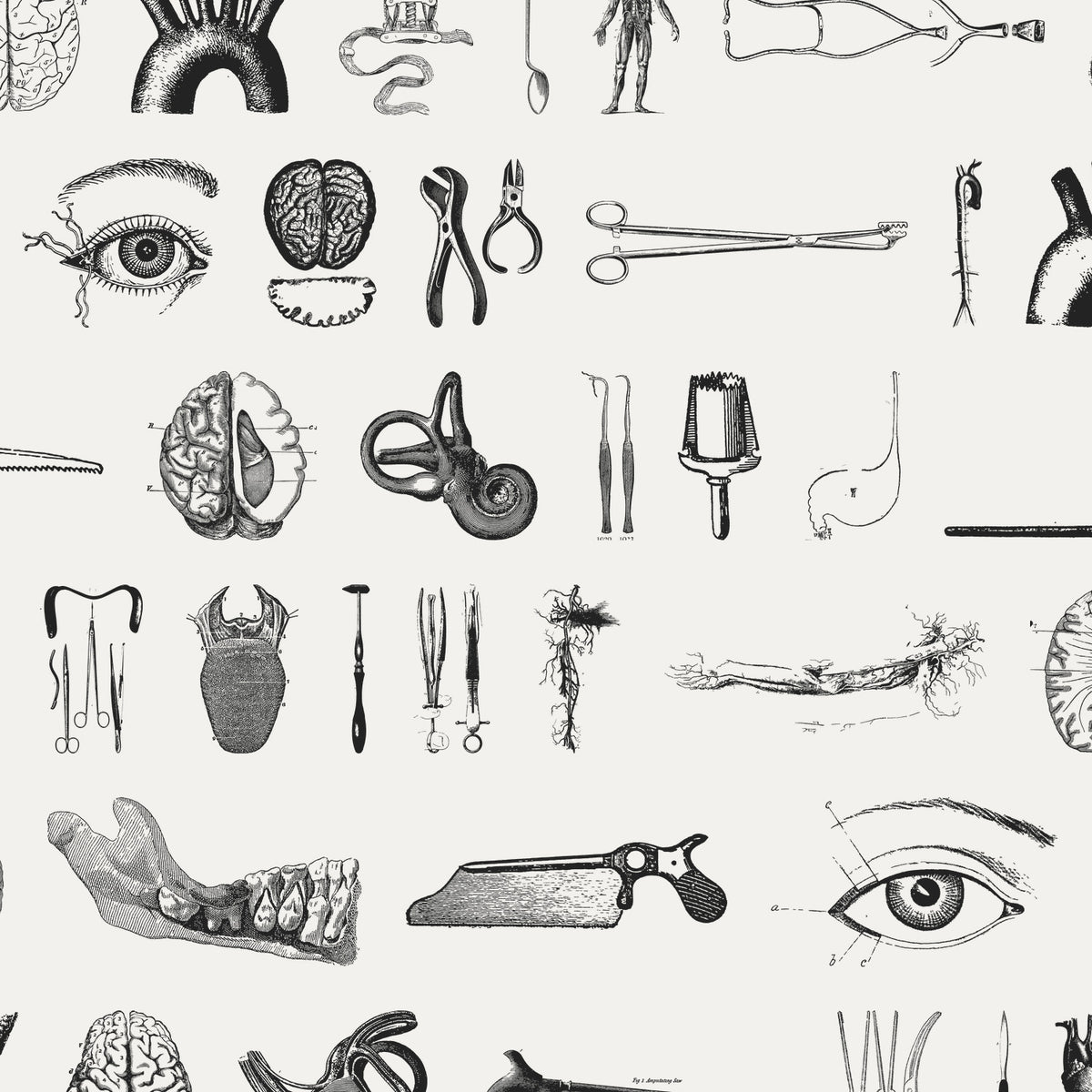 Coroner Graphic Pack by Disrupted Studio, preview 5