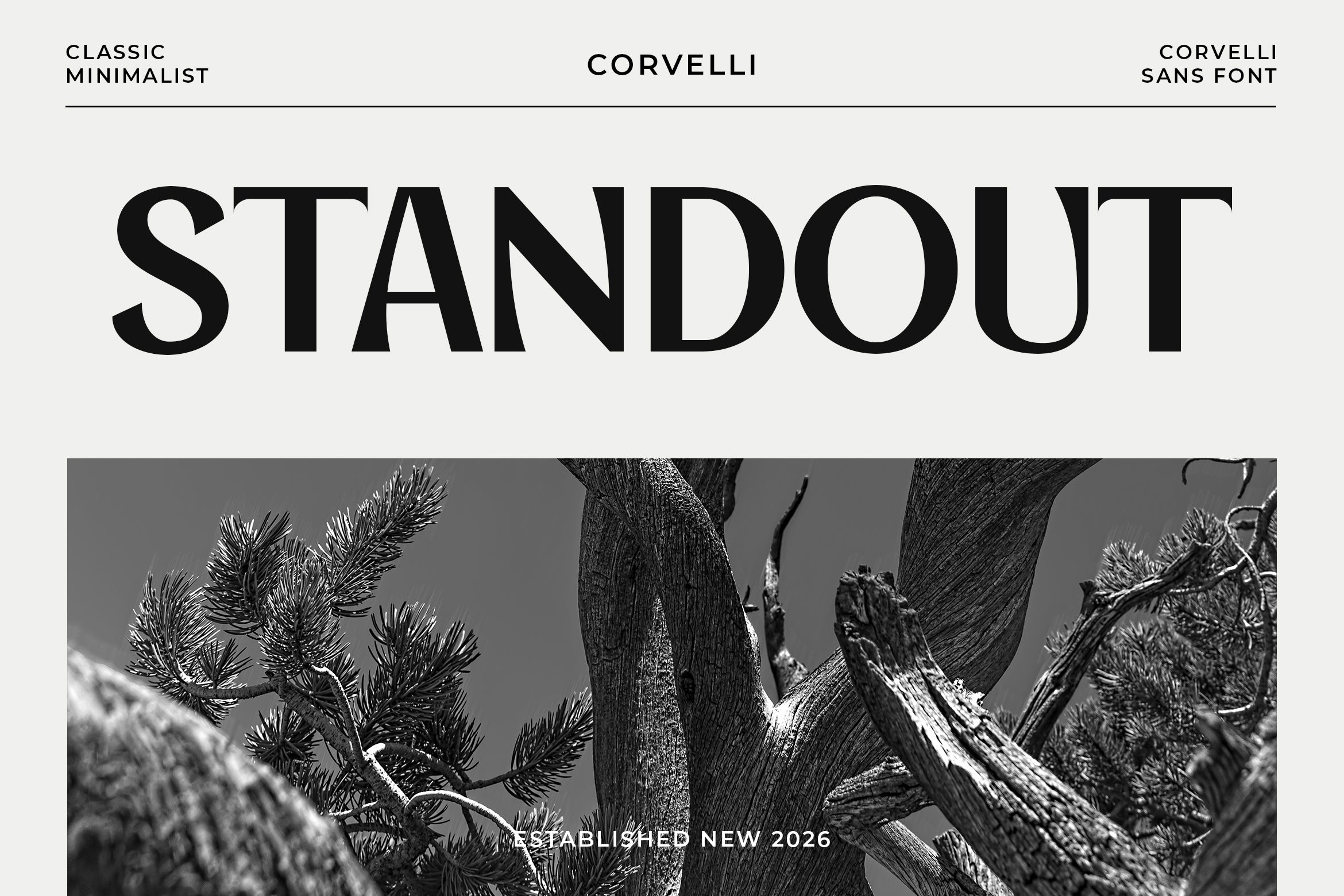 corvelli-classic-minimalist-sans-sixtysix-labs-studio-7.jpg