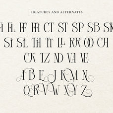 courage-apprentice-modern-serif-font-unknown-creator-11.jpg