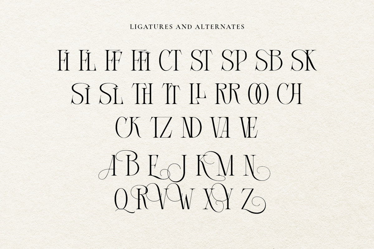 courage-apprentice-modern-serif-font-unknown-creator-11.jpg