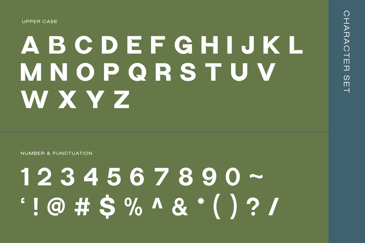 cove-modern-elegant-sans-serif-font-unknown-creator-2.png