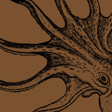 Creatures of the Reef
