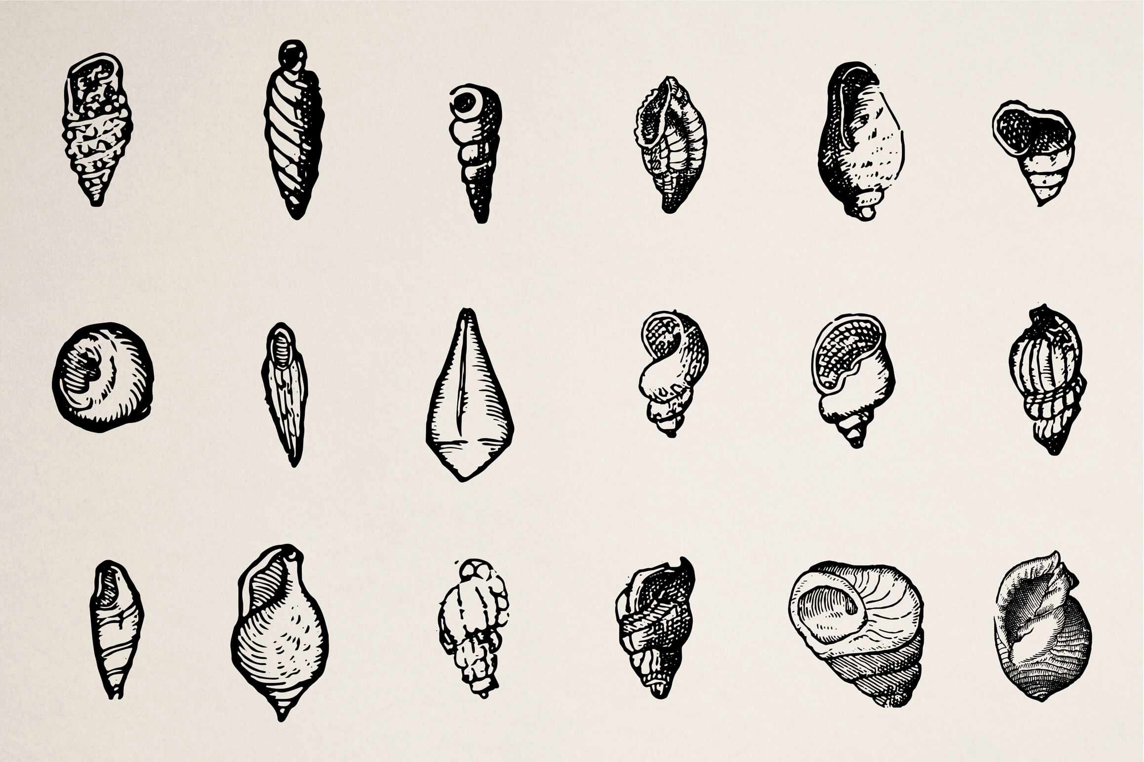 Creatures of the Reef