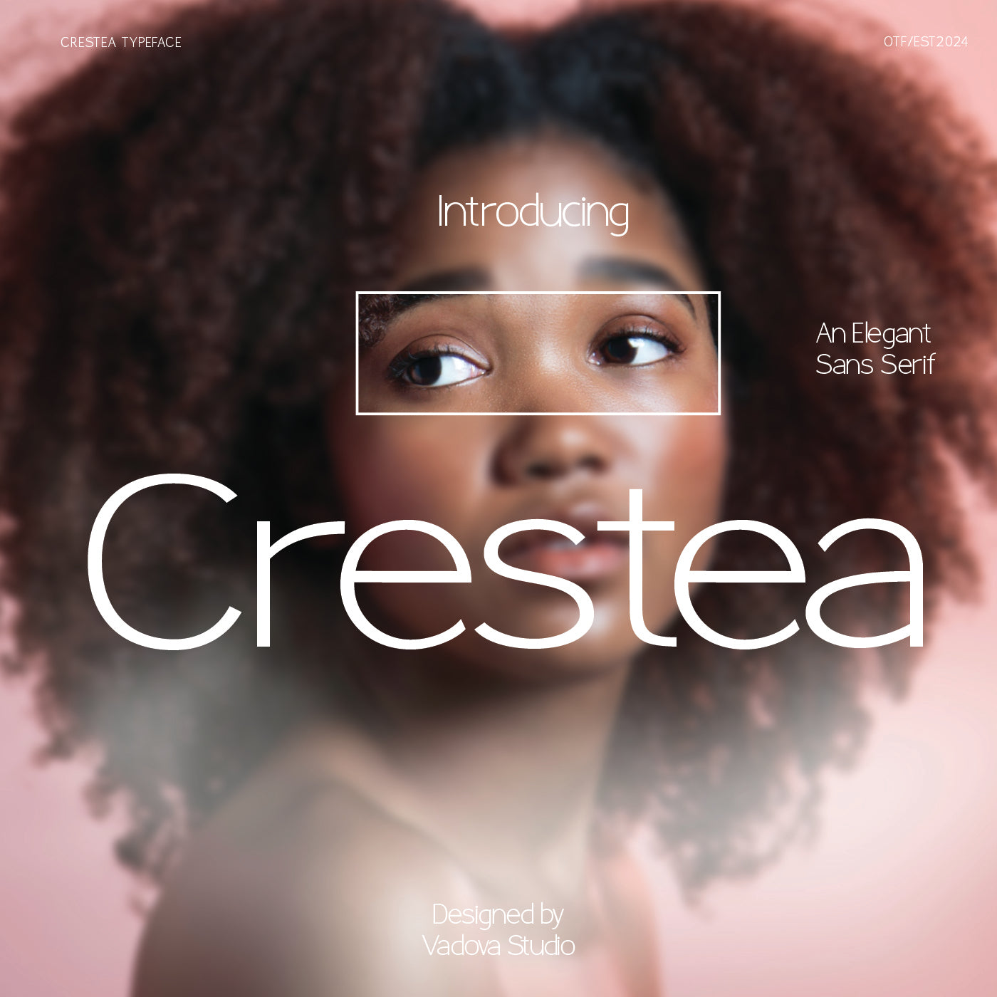 crestea-elegant-sans-serif-font-vadova-studio-7.jpg