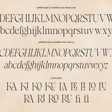 crown-monarch-stylish-elegant-serif-font-say-studio-9.png