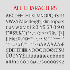 cs-action-contemporary-font-craft-supply-co-8.jpg