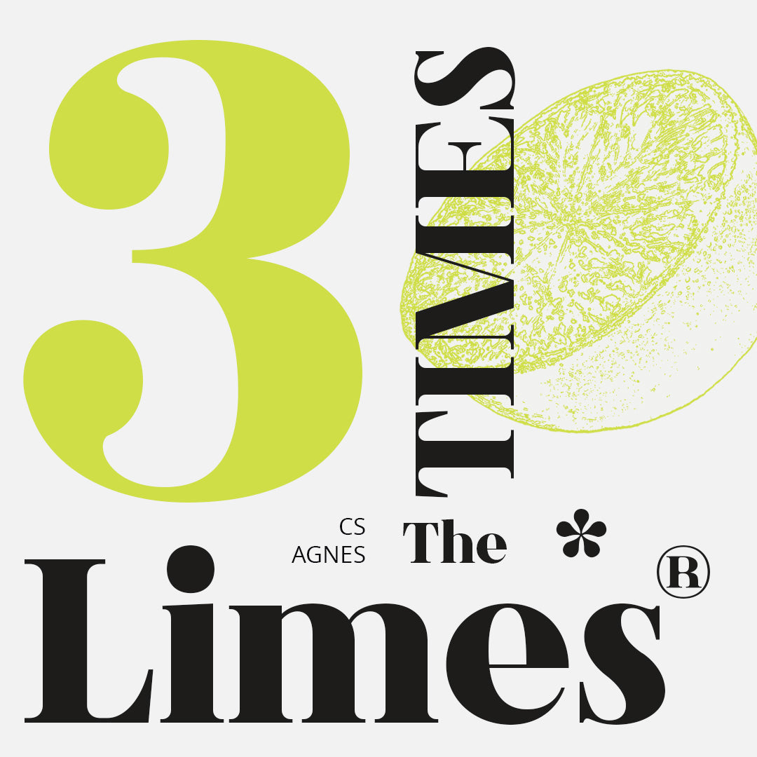 cs-agnes-serif-font-craft-supply-co-2.jpg