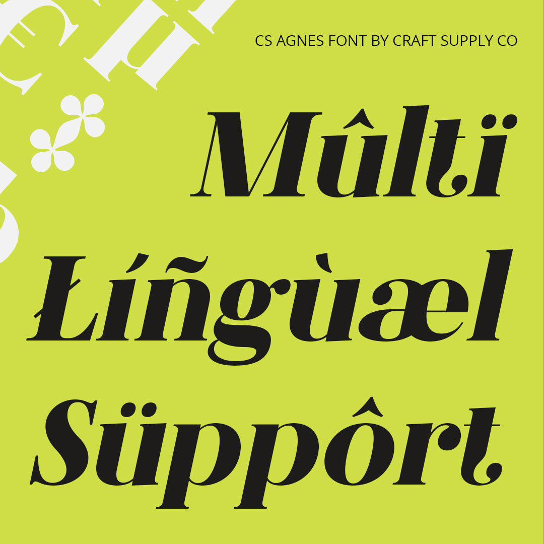 cs-agnes-serif-font-craft-supply-co-7.jpg