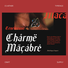 cs-aither-blackletter-font-craft-supply-co-7.jpg