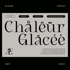 cs-alden-display-serif-font-craft-supply-co-6.jpg