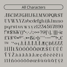 cs-alden-display-serif-font-craft-supply-co-8.jpg