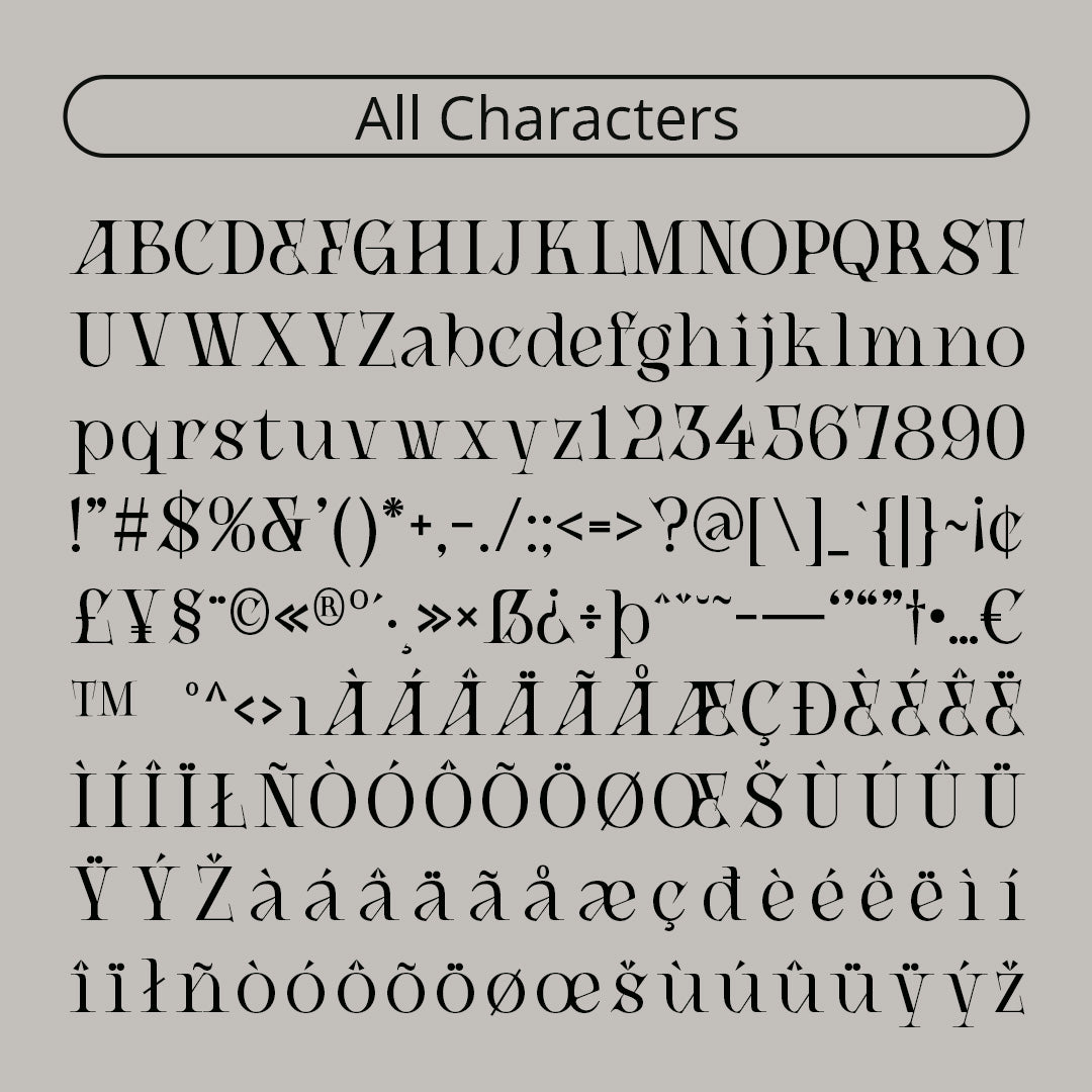 cs-alden-display-serif-font-craft-supply-co-8.jpg