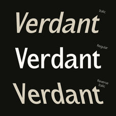 cs-alondra-modern-font-craft-supply-co-2.jpg