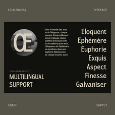 cs-alondra-modern-font-craft-supply-co-7.jpg