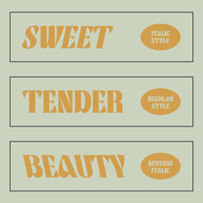 cs-alston-bold-font-craft-supply-co-3.jpg