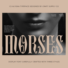 cs-alyona-gothic-font-craft-supply-co-4.jpg