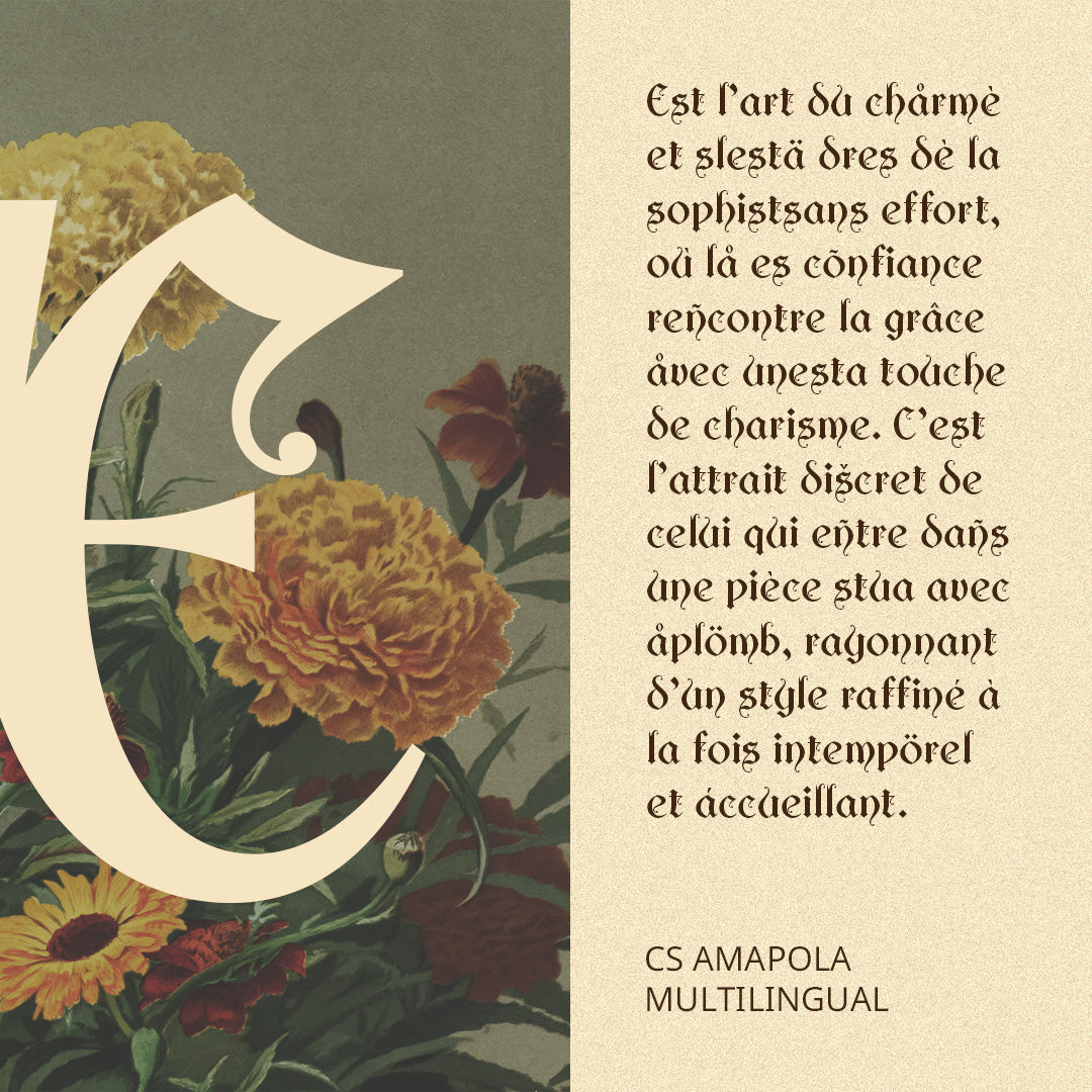 cs-amapola-gothic-uncial-font-craft-supply-co-7.jpg