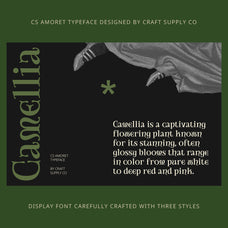 cs-amoret-art-nouveau-font-craft-supply-co-4.jpg