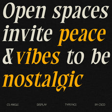 cs-angle-classic-font-unknown-creator-5.jpg