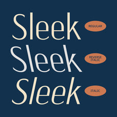 cs-anzelia-modern-font-unknown-creator-2.jpg