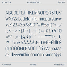 cs-anzelia-modern-font-unknown-creator-8.jpg