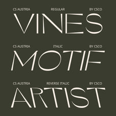 cs-austria-elegant-font-craft-supply-co-4.jpg