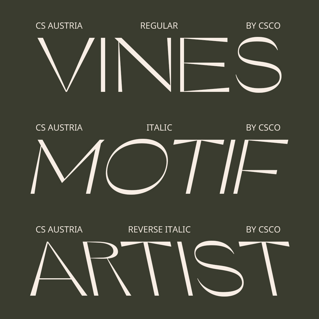 cs-austria-elegant-font-craft-supply-co-4.jpg