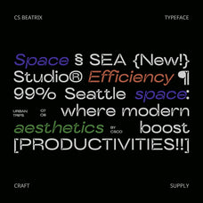cs-beatrix-inktrap-font-craft-supply-co-5.jpg