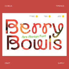 cs-belia-display-sans-serif-font-craft-supply-co-3.jpg