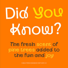 cs-belia-display-sans-serif-font-craft-supply-co-4.jpg