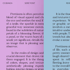 cs-bianca-serif-typeface-craft-supply-co-3.jpg