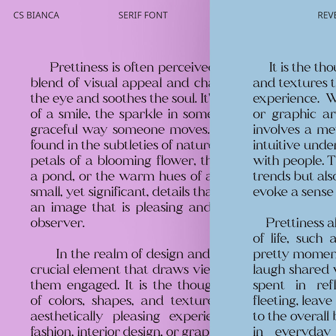 cs-bianca-serif-typeface-craft-supply-co-3.jpg