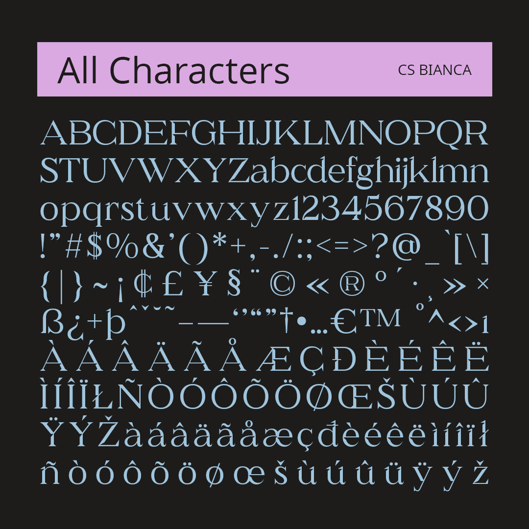 cs-bianca-serif-typeface-craft-supply-co-8.jpg