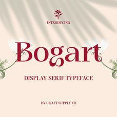 CS Bogart – Aesthetic Font by Craft Supply Co, preview 1