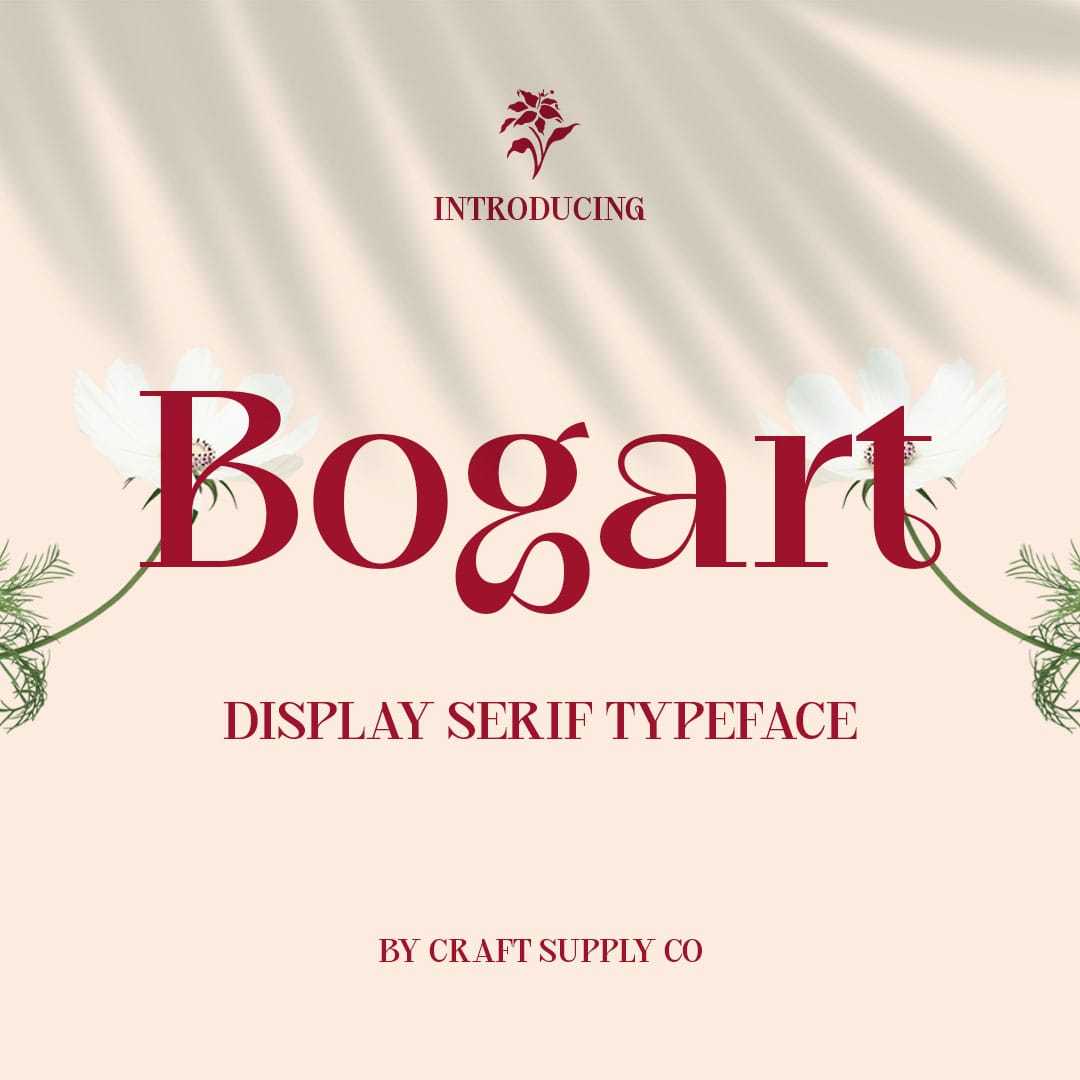 CS Bogart – Aesthetic Font by Craft Supply Co, preview 1